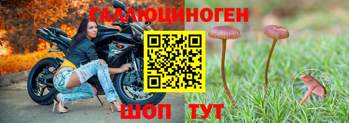Кандалакша  Галлюциногенные грибы Magic Shrooms  Псилоцибиновые грибы Psilocybine cubensis  Вход с VPN 