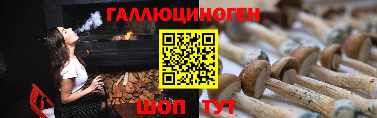 Галлюциногенные грибы прущие грибы Кандалакша